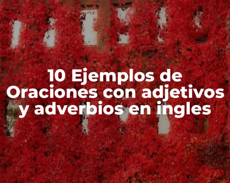 10 Ejemplos de Oraciones con adjetivos y adverbios en ingles