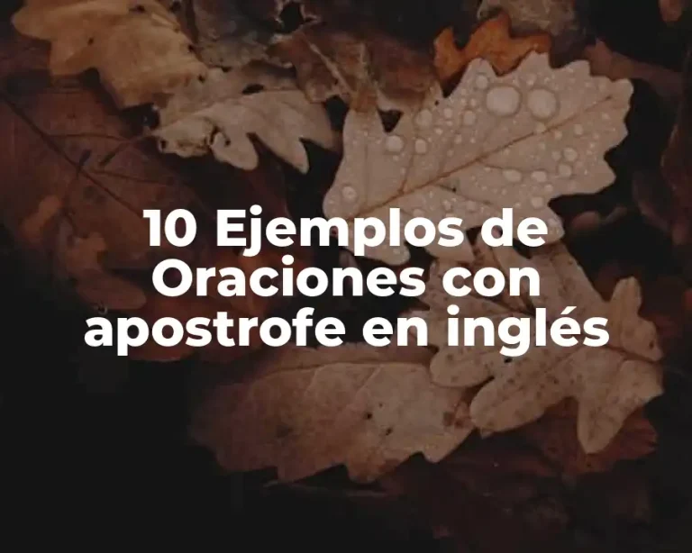 10 Ejemplos de Oraciones con apostrofe en inglés