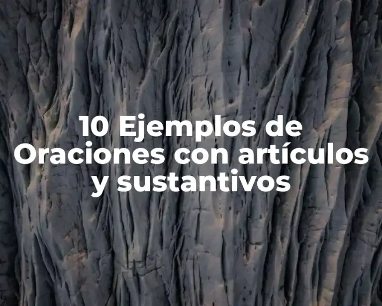 10 Ejemplos de Oraciones con artículos y sustantivos