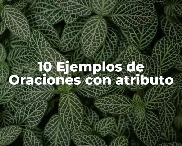 10 Ejemplos de Oraciones con atributo