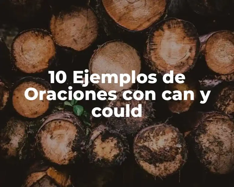 10 Ejemplos de Oraciones con can y could