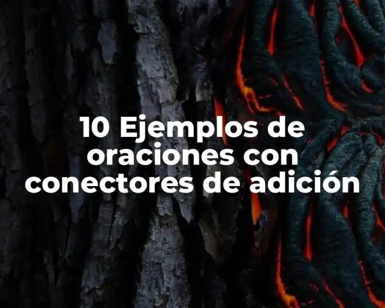 10 Ejemplos de oraciones con conectores de adición