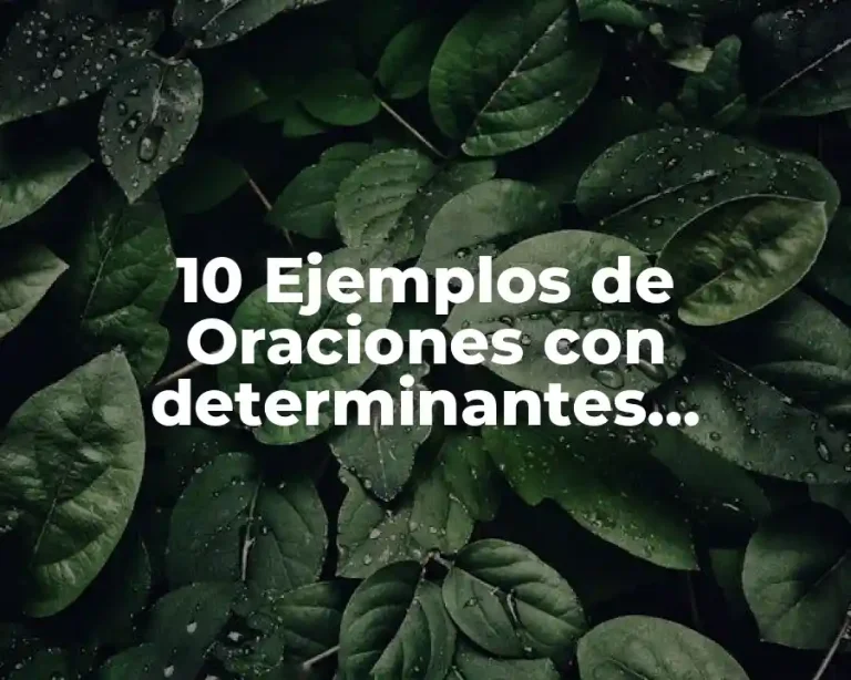 10 Ejemplos de Oraciones con determinantes numerales