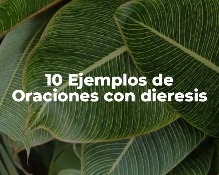 10 Ejemplos de Oraciones con dieresis