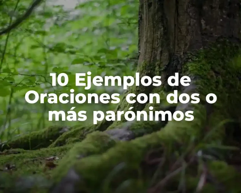 10 Ejemplos de Oraciones con dos o más parónimos
