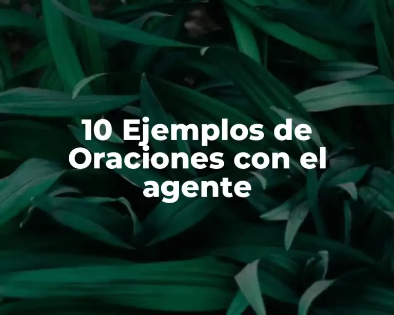 10 Ejemplos de Oraciones con el agente