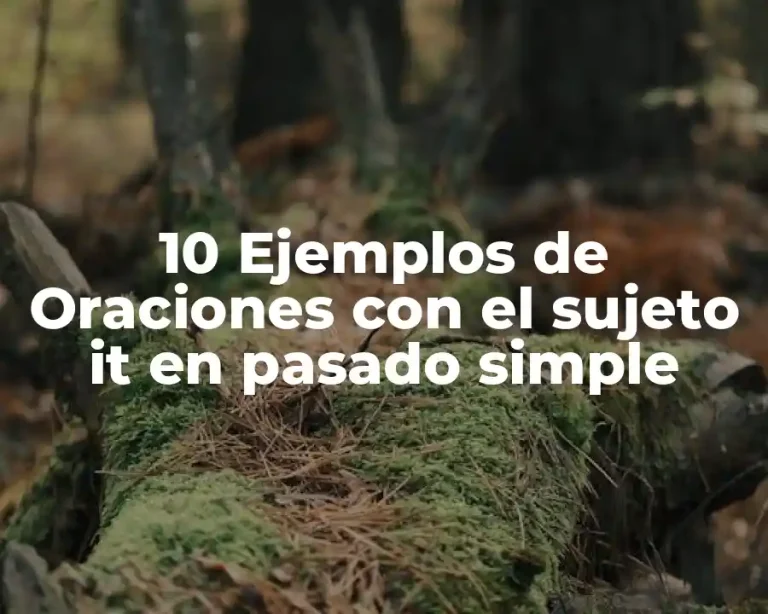 10 Ejemplos de Oraciones con el sujeto it en pasado simple