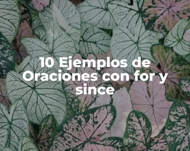 10 Ejemplos de Oraciones con for y since