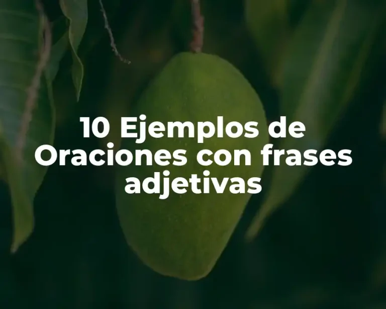 10 Ejemplos de Oraciones con frases adjetivas