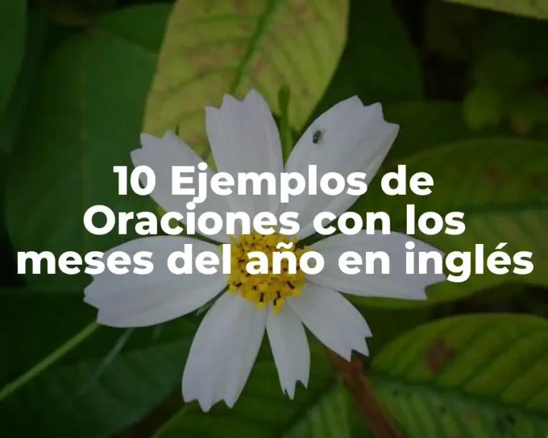 10 Ejemplos de Oraciones con los meses del año en inglés