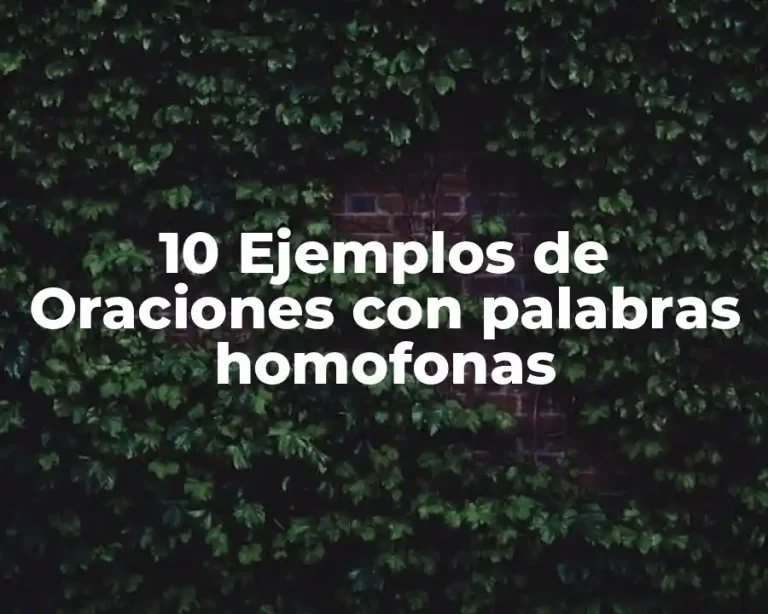 10 Ejemplos de Oraciones con palabras homofonas