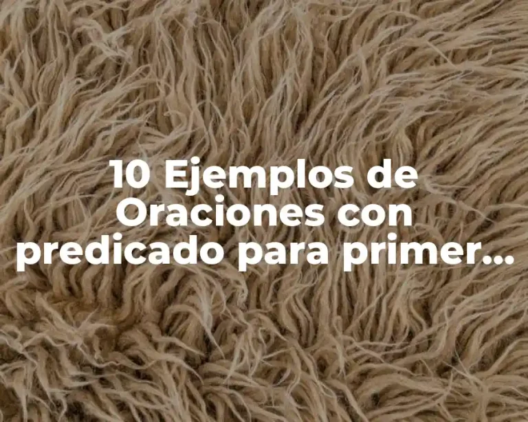 10 Ejemplos de Oraciones con predicado para primer año primaria