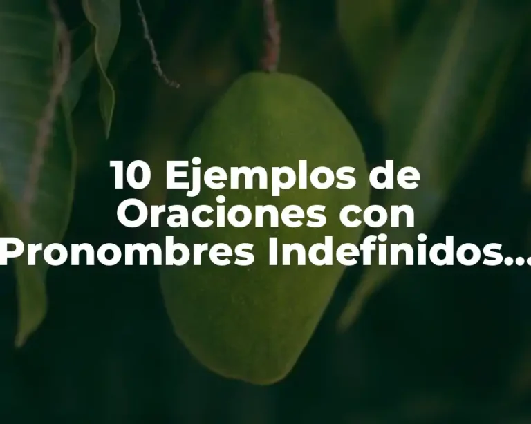 10 Ejemplos de Oraciones con Pronombres Indefinidos en Inglés y Español