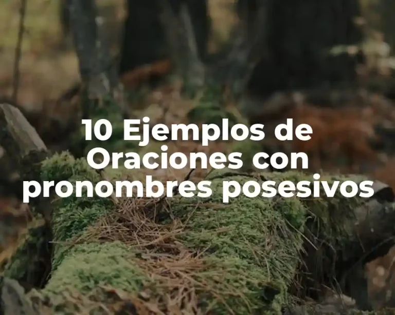 10 Ejemplos de Oraciones con pronombres posesivos