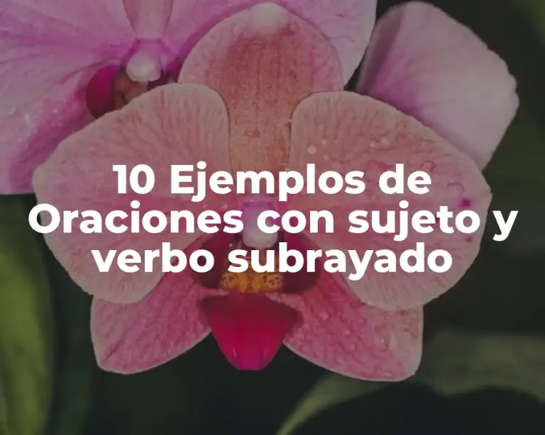 10 Ejemplos de Oraciones con sujeto y verbo subrayado