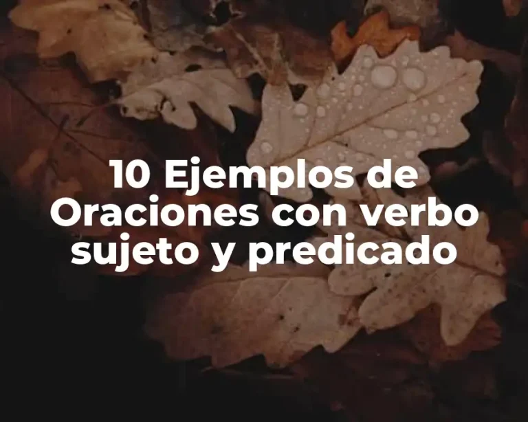 10 Ejemplos de Oraciones con verbo sujeto y predicado