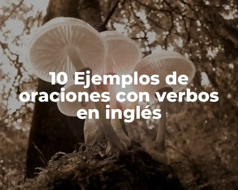 10 Ejemplos de oraciones con verbos en inglés