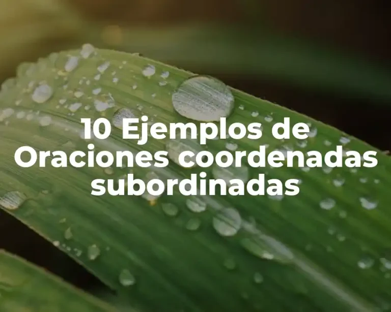 10 Ejemplos de Oraciones coordenadas subordinadas