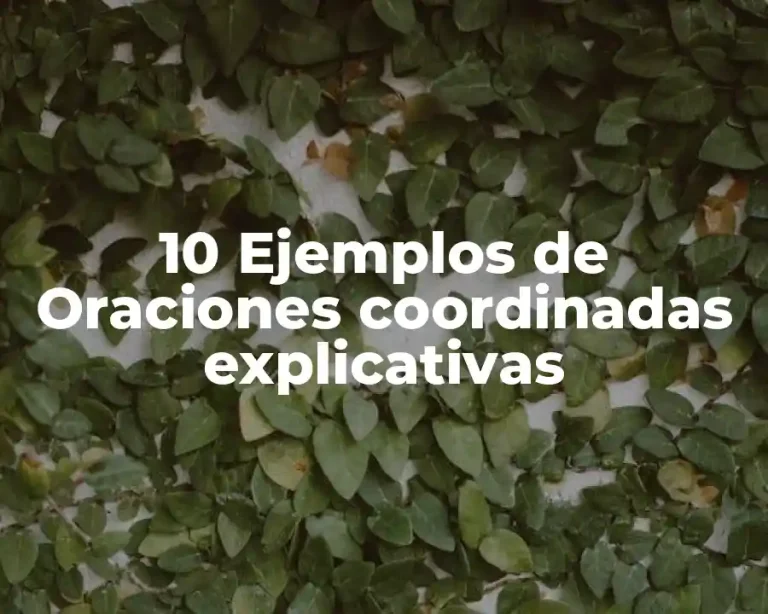 10 Ejemplos de Oraciones coordinadas explicativas