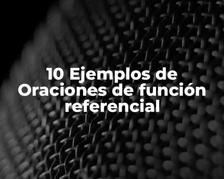 10 Ejemplos de Oraciones de función referencial