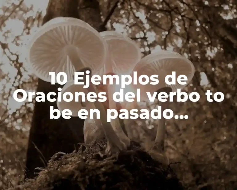 10 Ejemplos de Oraciones del verbo to be en pasado afirmativas