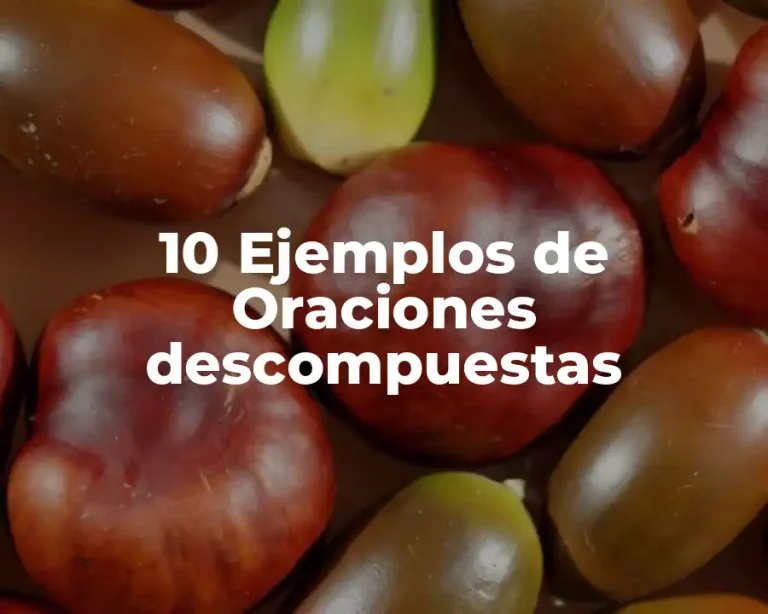 10 Ejemplos de Oraciones descompuestas