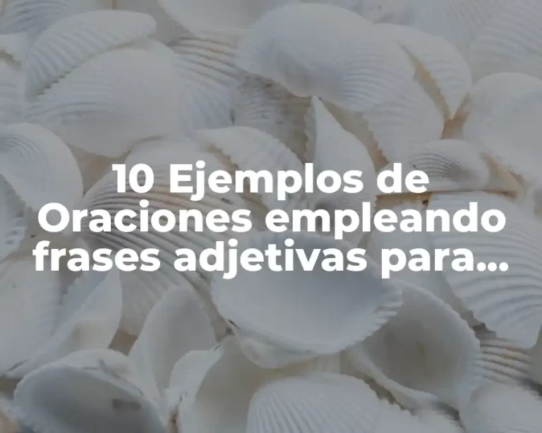 10 Ejemplos de Oraciones empleando frases adjetivas para cuarto de primaria