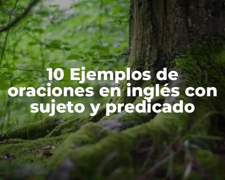 10 Ejemplos de oraciones en inglés con sujeto y predicado