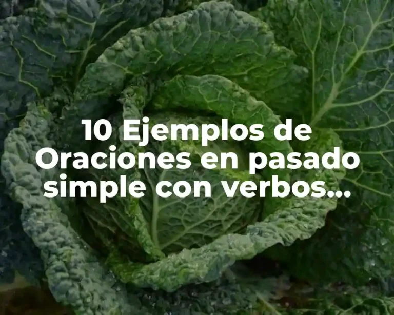 10 Ejemplos de Oraciones en pasado simple con verbos irregulares