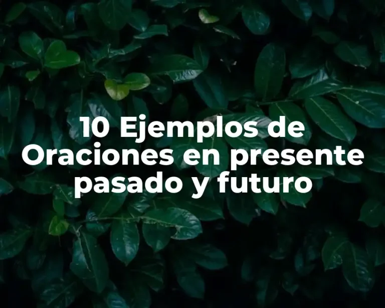 10 Ejemplos de Oraciones en presente pasado y futuro