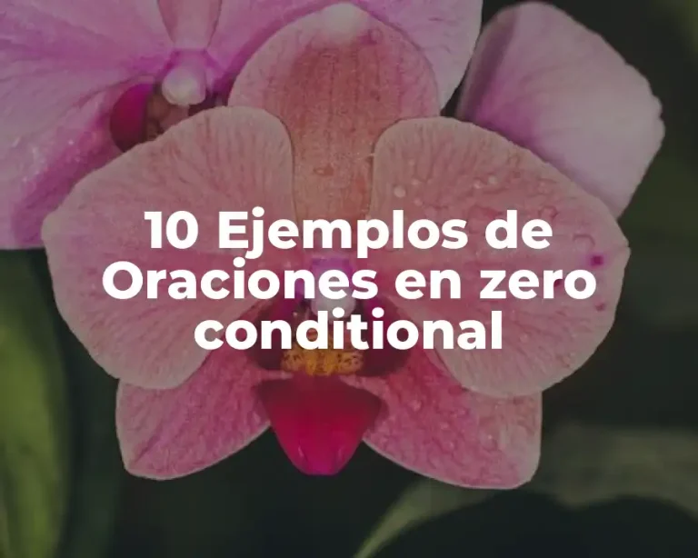 10 Ejemplos de Oraciones en zero conditional