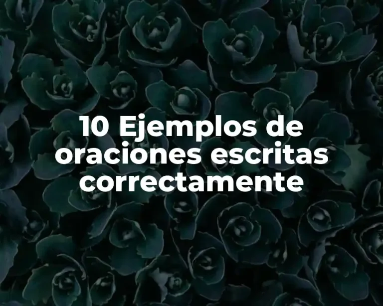 10 Ejemplos de oraciones escritas correctamente