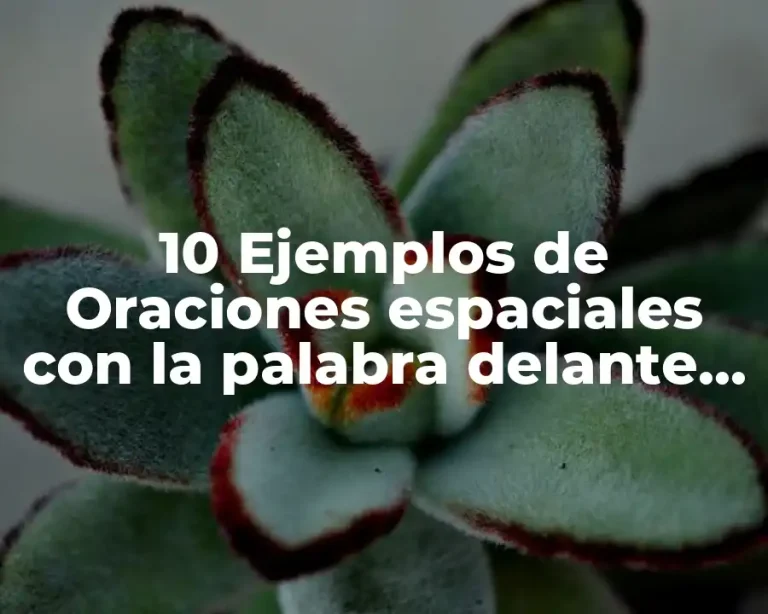 10 Ejemplos de Oraciones espaciales con la palabra delante de