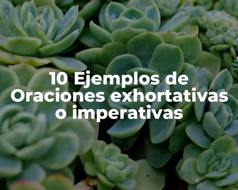10 Ejemplos de Oraciones exhortativas o imperativas