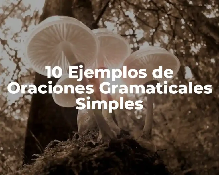 10 Ejemplos de Oraciones Gramaticales Simples
