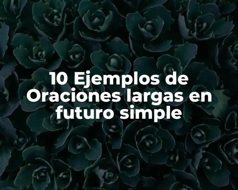 10 Ejemplos de Oraciones largas en futuro simple