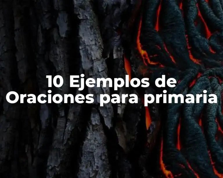 10 Ejemplos de Oraciones para primaria