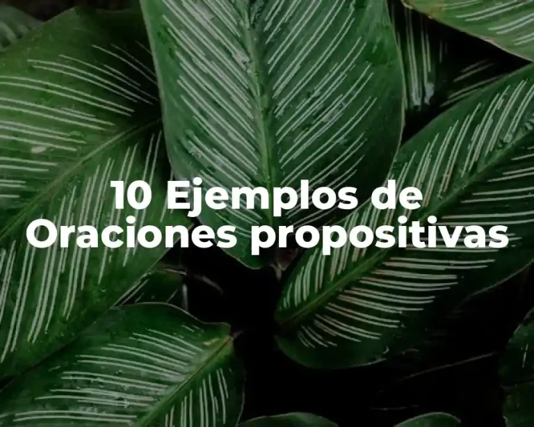 10 Ejemplos de Oraciones propositivas