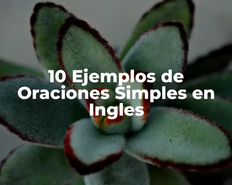 10 Ejemplos de Oraciones Simples en Ingles