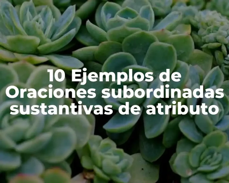 10 Ejemplos de Oraciones subordinadas sustantivas de atributo
