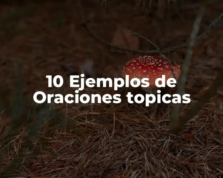 10 Ejemplos de Oraciones topicas