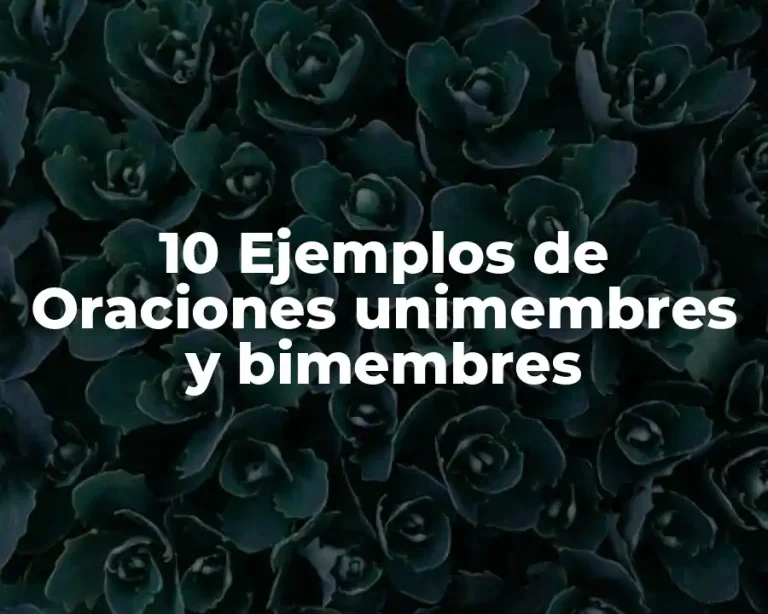 10 Ejemplos de Oraciones unimembres y bimembres