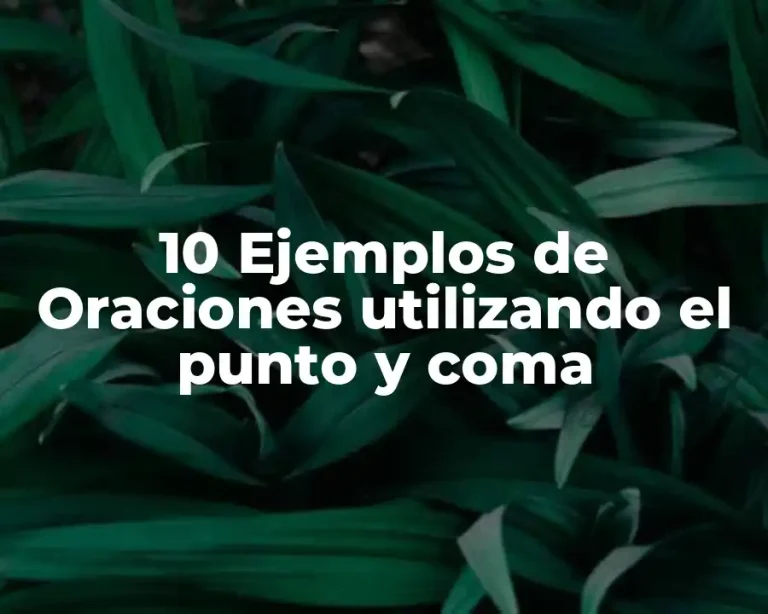 10 Ejemplos de Oraciones utilizando el punto y coma