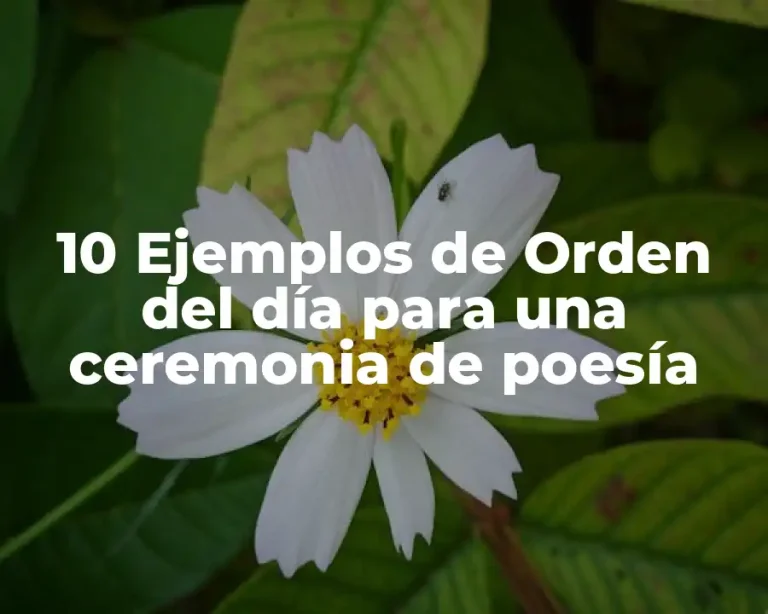 10 Ejemplos de Orden del día para una ceremonia de poesía