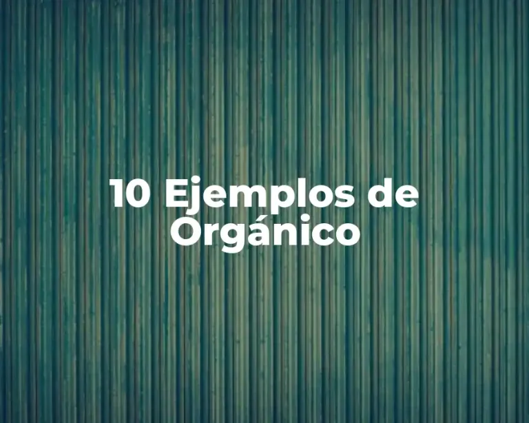 10 Ejemplos de Orgánico