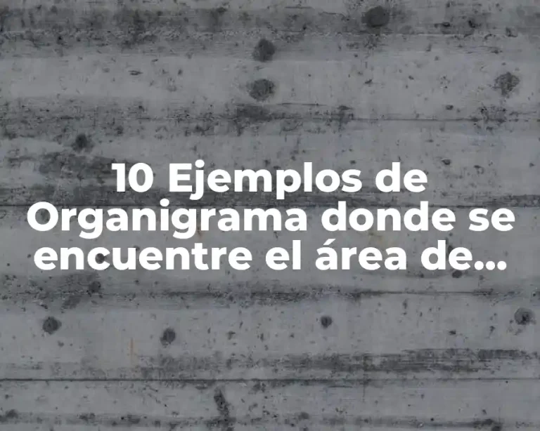 10 Ejemplos de Organigrama donde se encuentre el área de marketing