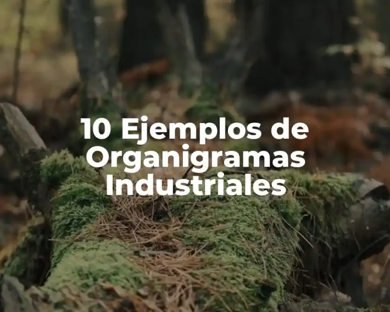 10 Ejemplos de Organigramas Industriales