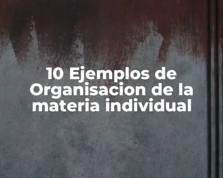 10 Ejemplos de Organisacion de la materia individual