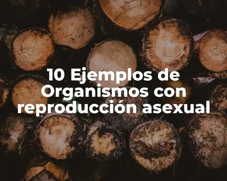 10 Ejemplos de Organismos con reproducción asexual