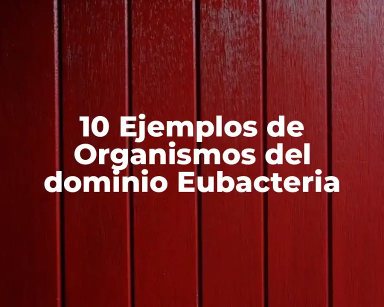 10 Ejemplos de Organismos del dominio Eubacteria